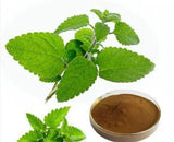 Lemon Balm Extract